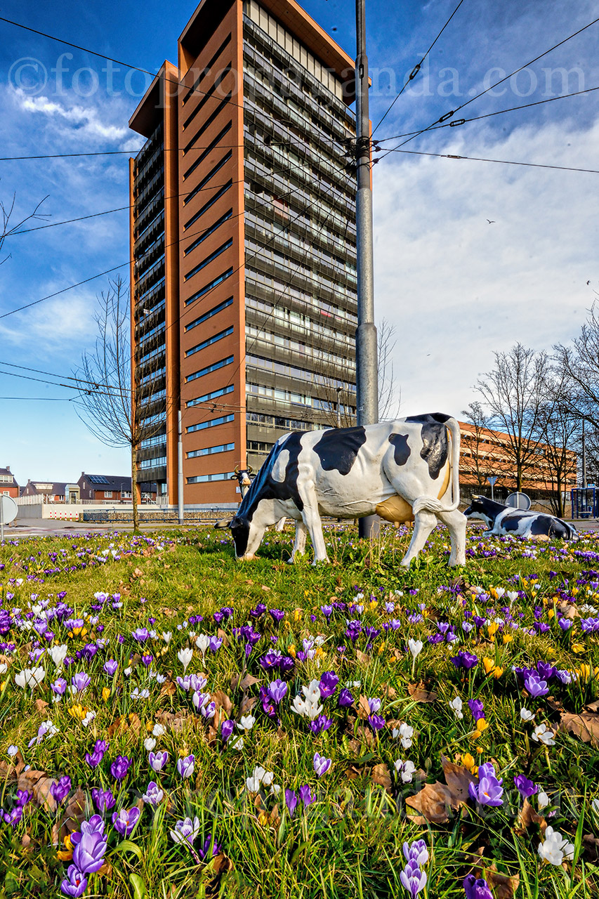 Uitbreiding rotonde kunst in Malburgen