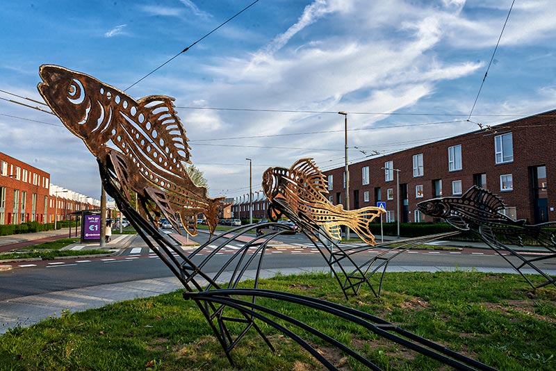 rotonde vissen banner