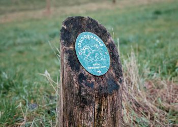 honden losloopgebied