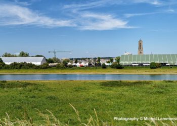 Free Your Mind Festival