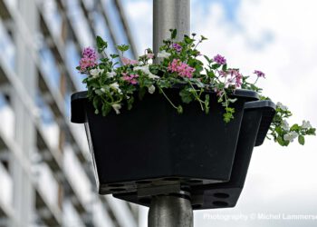 hanging baskets