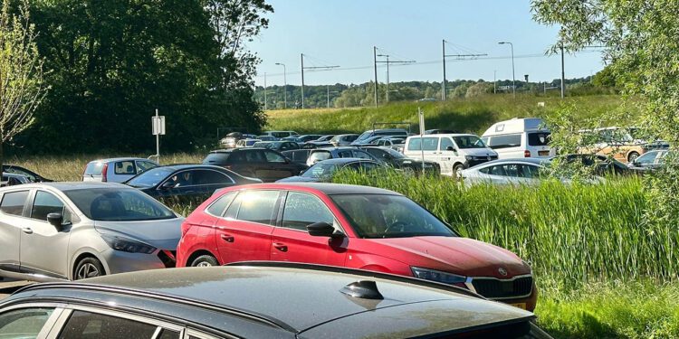 klachten Free Your Mind