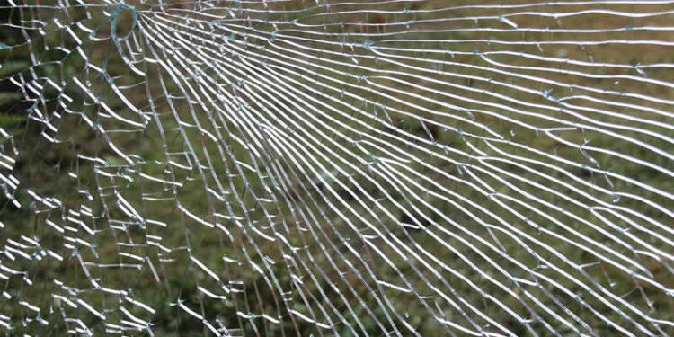 Leefbaarheid & Veiligheid