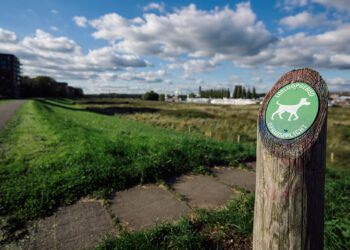 honden losloopgebied