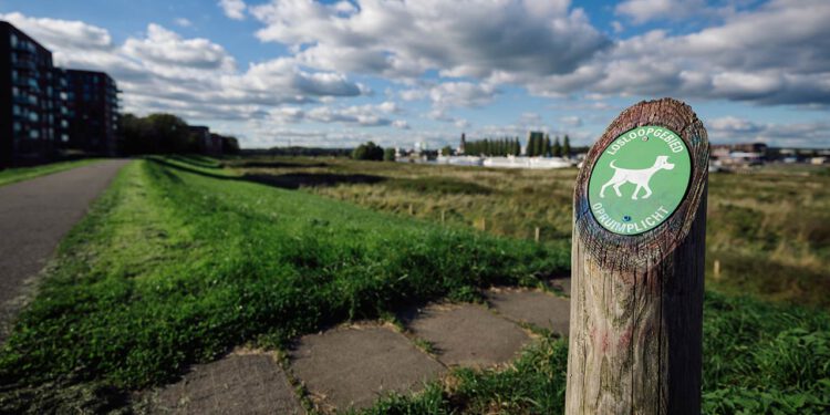 honden losloopgebied