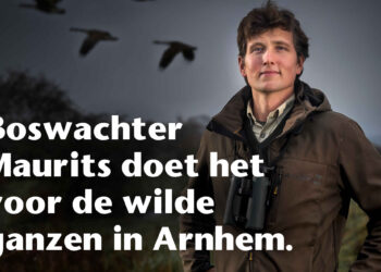 Afsteekverbod vuurwerk in heel de gemeente Arnhem